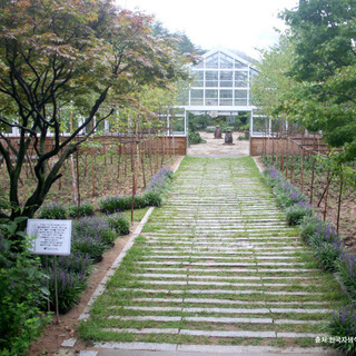자생식물원